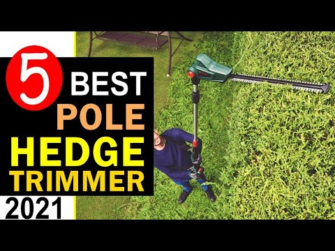 image-Which is better gas or electric hedge trimmer?