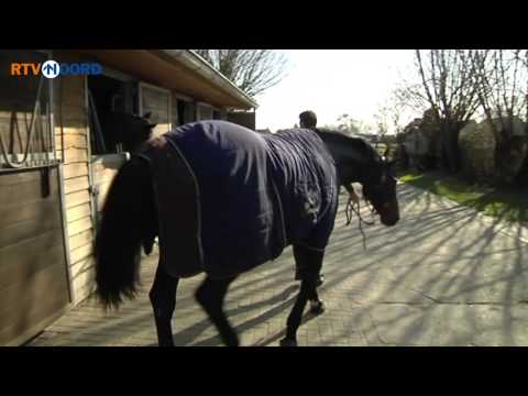 Arjen Robben helpt Stal Vrieling naar de top - RTV Noord