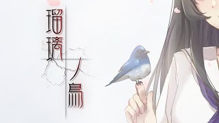 【阿宓歌ってみた】瑠璃ノ鳥 | 『天ノ少女』ED