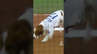 #可愛いくてごめん デコピンもヒーロー‼️の巻?