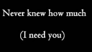 Allman Brothers Band - Never knew how much (i need you) + Lyrics