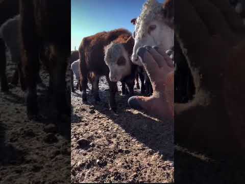 Перевоспитание и про уважение 👌👍😁