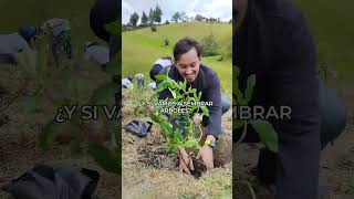 ¿Y si vamos a sembrar árboles?