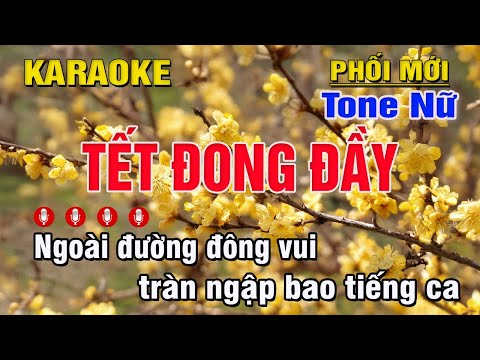Tết Đong Đầy Karaoke Tone Nữ (D#) - Trung Hiếu Karaoke