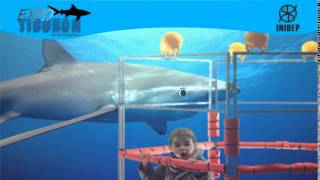 DIA 2 Expo Tiburon201