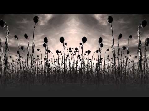 Dead Can Dance - 'Agape'