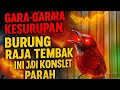 Tepus Kepala Abu KESURUPAN KONSLET PARAH Pancingan Tepus Tepus Gacor