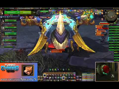 TCN vs. Horridon 25 (Guardian Druid POV)