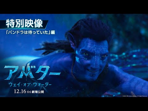 特別映像「パンドラは待っていた」