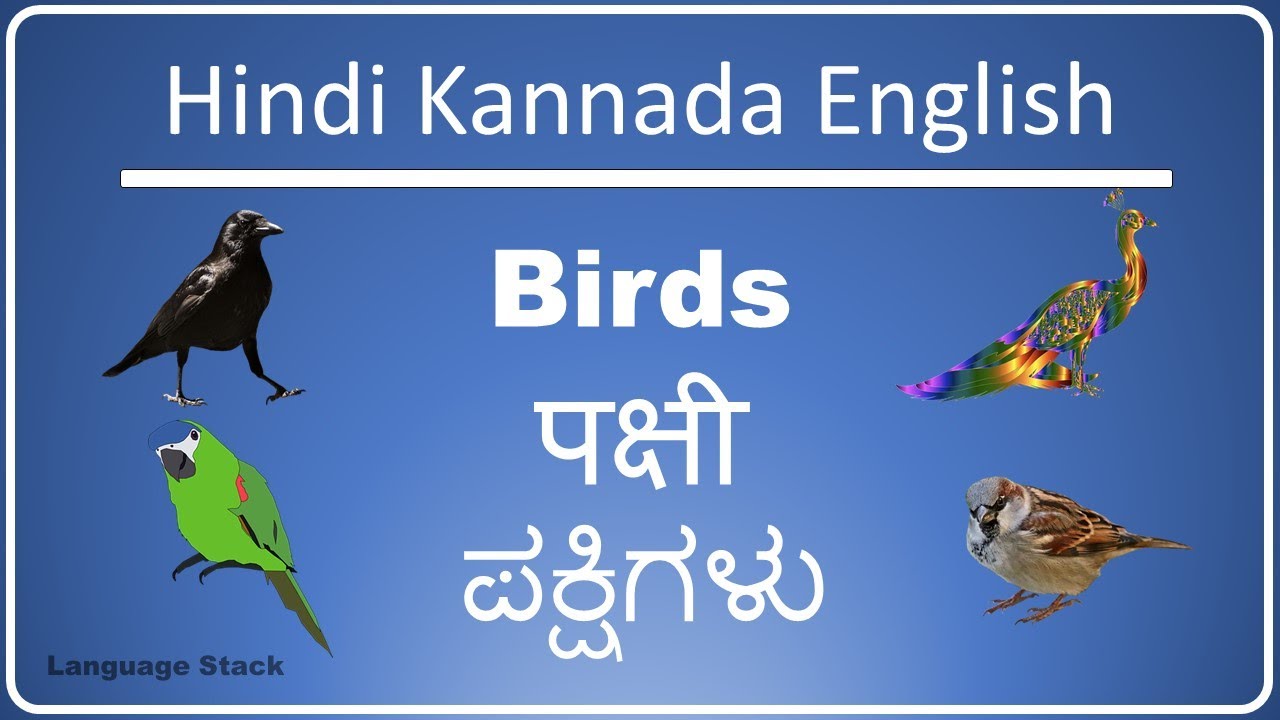 Birds name in Kannada English Hindi with Pictures | Names of Birds | Pakshigalu | Spoken Kannada
