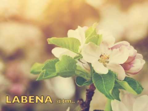 2016 LABENA_LINTONE_EYE KING_PRODUCED BY TMAQUAK - Kiribati@tm..