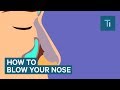 You Ve Been Blowing Your Nose All Wrong
