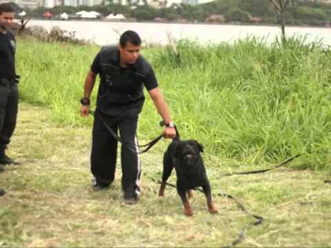 1ª TURMA - Diretoria de Operações Táticas - DOT - LUIZ GONZAGA DA SILVA NETO