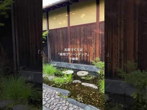 jardin-moderne-tendances-gazon-foyer-extérieur-plantes