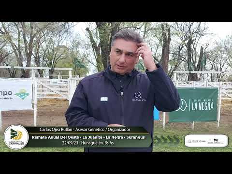 22-09-23 - Carlos Ojea Rullán  - Organizador del Remate Anual del Oeste -  Huanguelén, Bs.As.