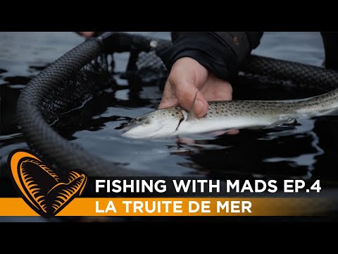 Pêcher la truite de mer avec Mads Grosell (ép.4)