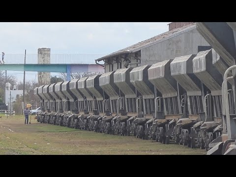 [4K] Tren cargado de NCA maniobrando en Marcos Juárez!!!!!!