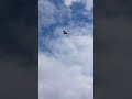 HOVERING KESTREL POUNCES!