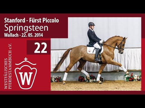 22 Springsteen Wallach v. Stanford - Fürst Piccolo