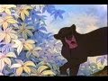 VMV Looking For Romance I Bring You A Song