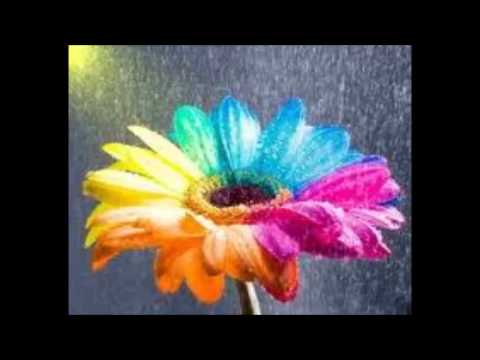 Nikica Kalođera - Ćao! /instrumental/