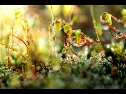 Elena J. - Rosa - Elena Jurčeková