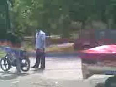 ruga sanmartinul sarbesc 3