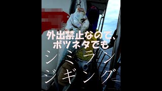 ボツネタ　シミランジギング（Thailand Similan Jigging)