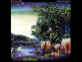 Fleetwood Mac - Little Lies 