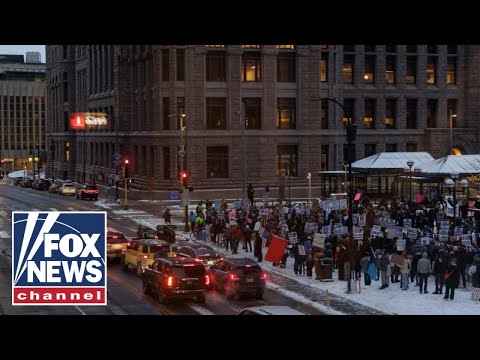 Harris Faulkner: These are MOBSTERS