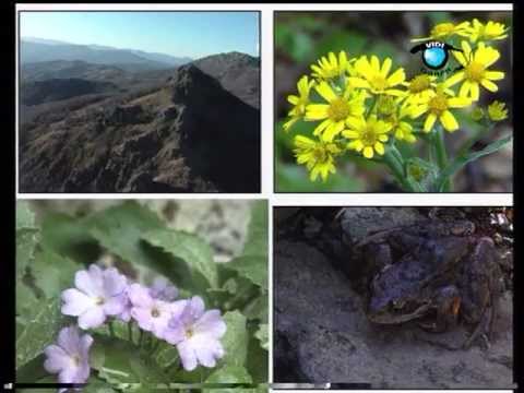 Natural Parc  Aveto Liguria Italie
