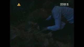 B&amp;B Rick and Phoebe&#39;s car accident (2008)