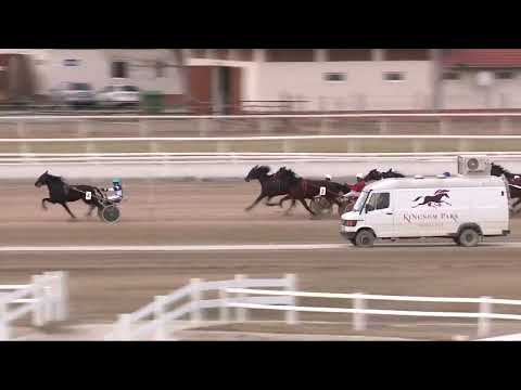 2022.02.26. 06. futam - 2022. ÉVI KINCSEM PARK KUPA I. FUTAMA HENDIKEP