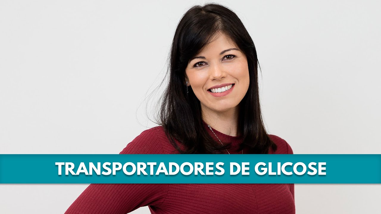 Transportadores de glicose - Por Aline David
