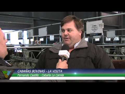 Cabañasbovinas.com - Palermo 2013 - Fernando Castillo