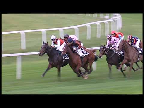 2019-11-21 Corsa 3 metri 1200 premio Calambrone