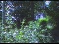 Body Of Light Lost VHS Movie 2012 Part 1 Of 2