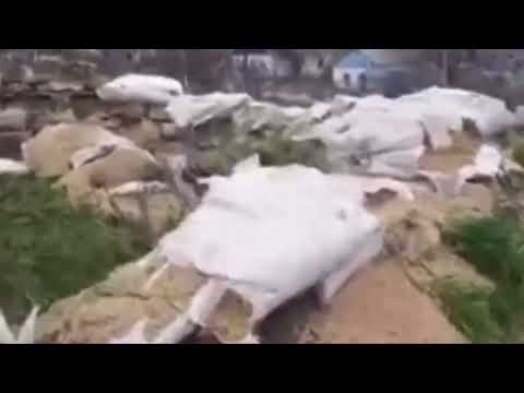 incredible!! kherson. Russian soldiers use grain bags in the trenches