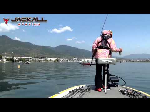 Vobler Jackall Gantarel 160mm 70g Uroko Holo Largemouth Bass F