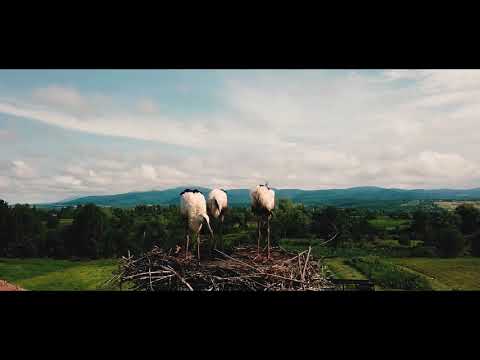 Bontesti 4k - cinematic dji mavic pro