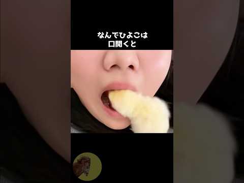 ヒヨコの行動が可愛すぎる..😭🐣 #動物 #雑学 #豆知識 #ひよこ #かわいい