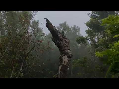 Kumpulan playlist lagu spotify terbaru 2025 - sedia aku sebelum hujan, alamak, hindia...|tanpa iklan