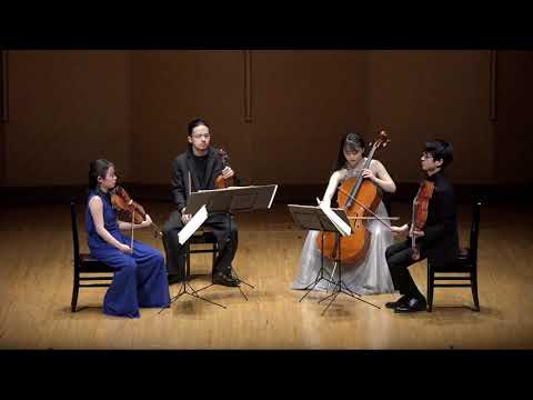 Schubert : String Quartet No.14 D minor D810(Death and the Maiden)