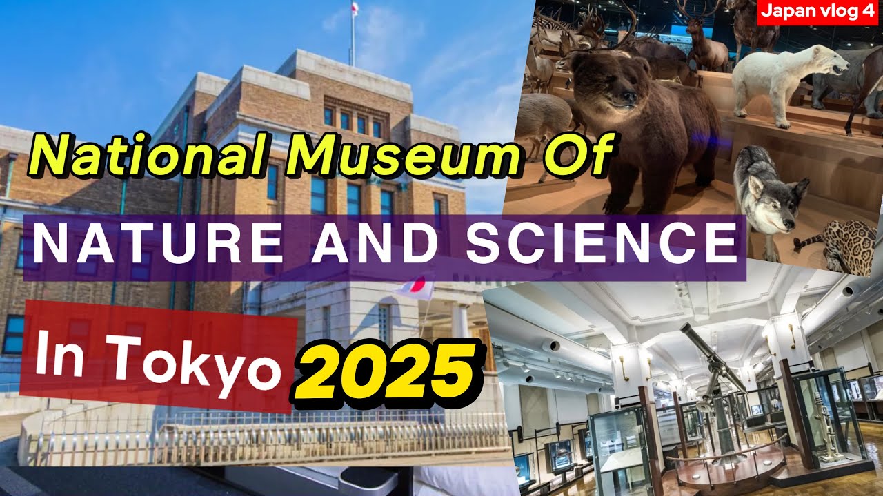 A traveler immerses themselves in the cultural treasures of Tokyo National Museum.