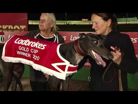2020 LADBROKES GOLD CUP FINAL - T6 GONZO