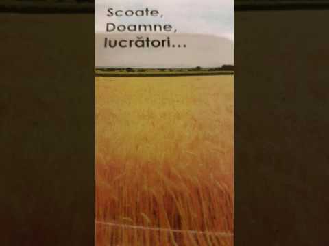 "Profetiile Biblice implinite sub ochii nostri"(casa piinii)