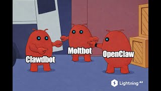 Run OpenClaw / Clawd Bot on Lightning | How to Run the Viral AI Agent 