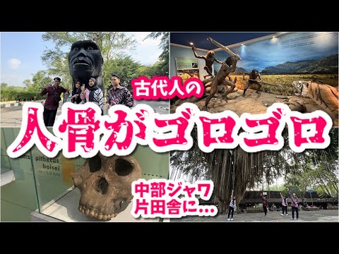 何世紀も前の船の墓地の可能性が研究者らにインスピレーションを与える:「うまくいけば、答えが得られるでしょう」