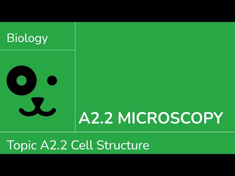 A2.2 Microscopy [IB Biology SL/HL]