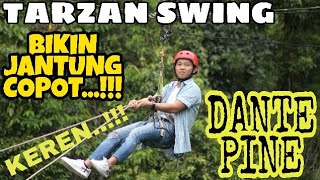 preview picture of video 'Tarzan swing DANTE PINE. Jantung hampir copot'